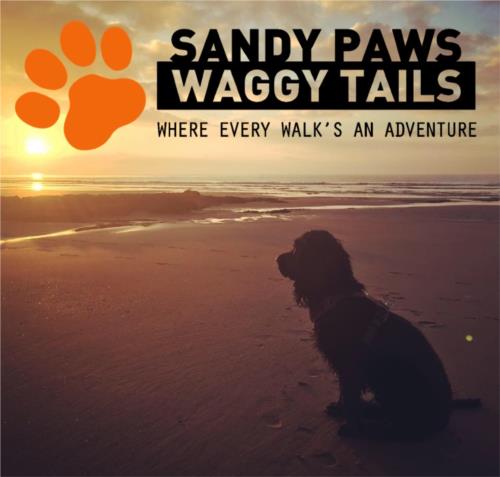 Sandy Paws & Waggy Tails Exeter